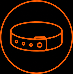 Pulseira